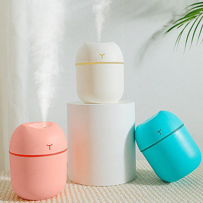RestMist mini