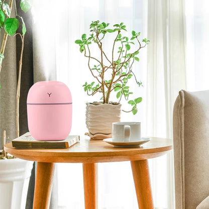 RestMist mini