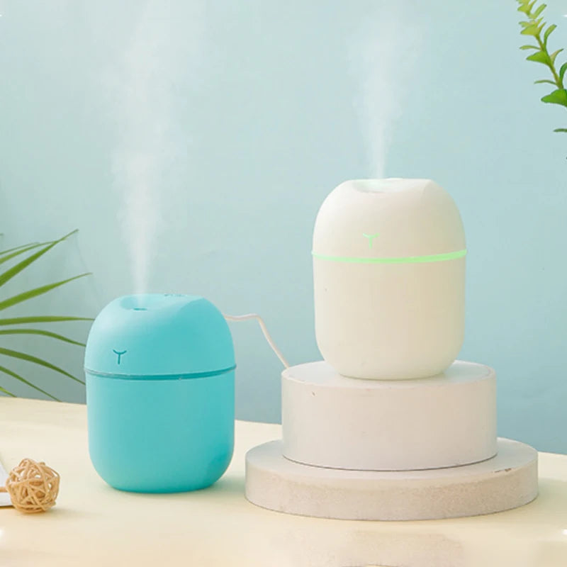 RestMist mini